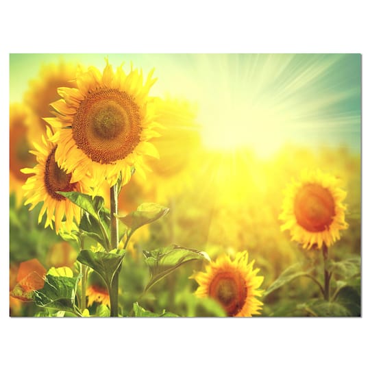 Designart - Sunflowers blooming on the field